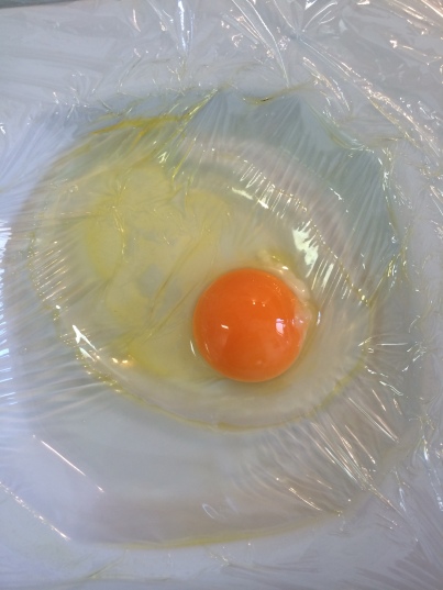 ovo poche - prato com ovo